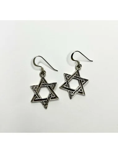 ⭐ Pendientes Largos Finos Estrella de David en Plata 21 €